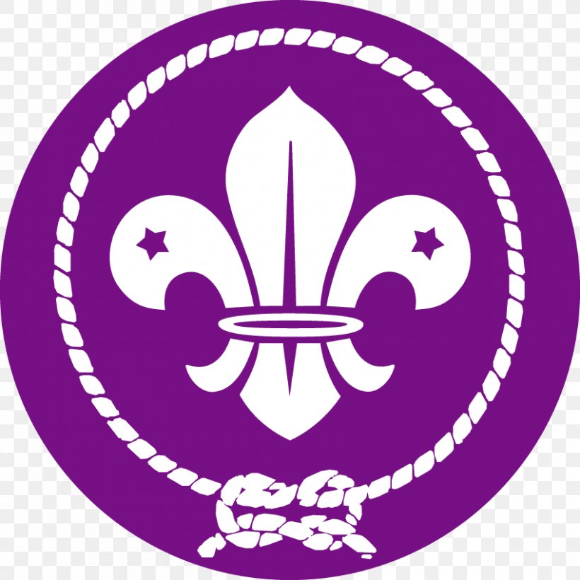 Scouting For Boys World Scout Emblem World Organization Of The Scout Movement Cub Scout, PNG, 850x850px, Scouting For Boys, Area, Beavers, Boy Scouts Of America, Cub Scout Download Free