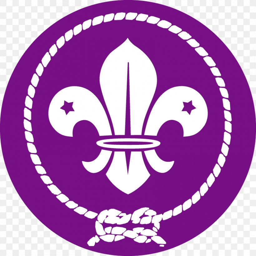 Scouting For Boys World Scout Emblem World Organization Of The Scout ...