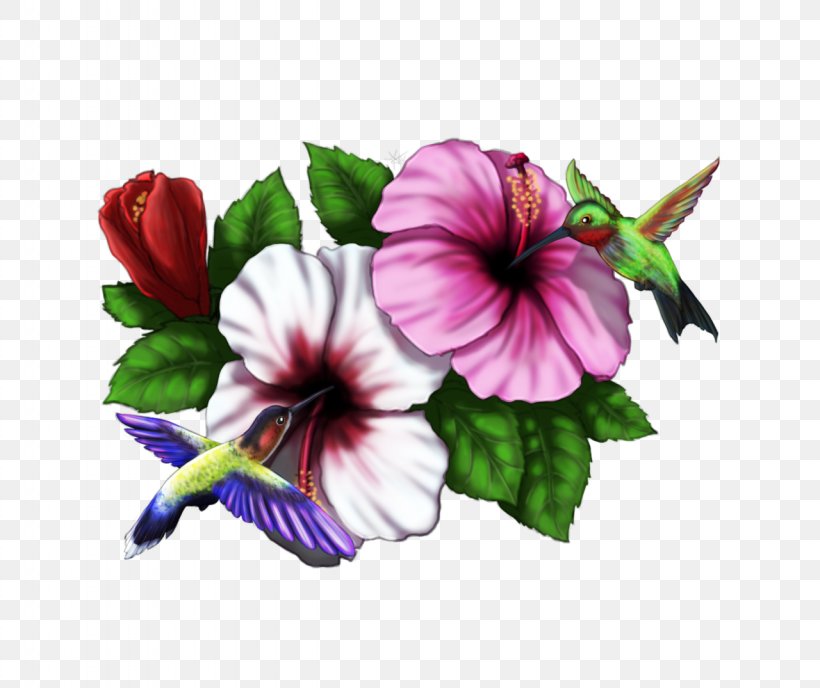 Hibiscus Hummingbird Drawing Pinterest, PNG, 1280x1075px, Hibiscus, Drawing, Flower, Flowering Plant, Herbaceous Plant Download Free