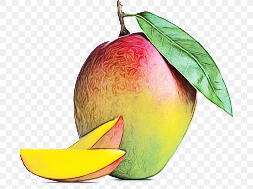 Mango Leaf, PNG, 692x612px, Mango, Accessory Fruit, Chutney, Drupe, Food Download Free