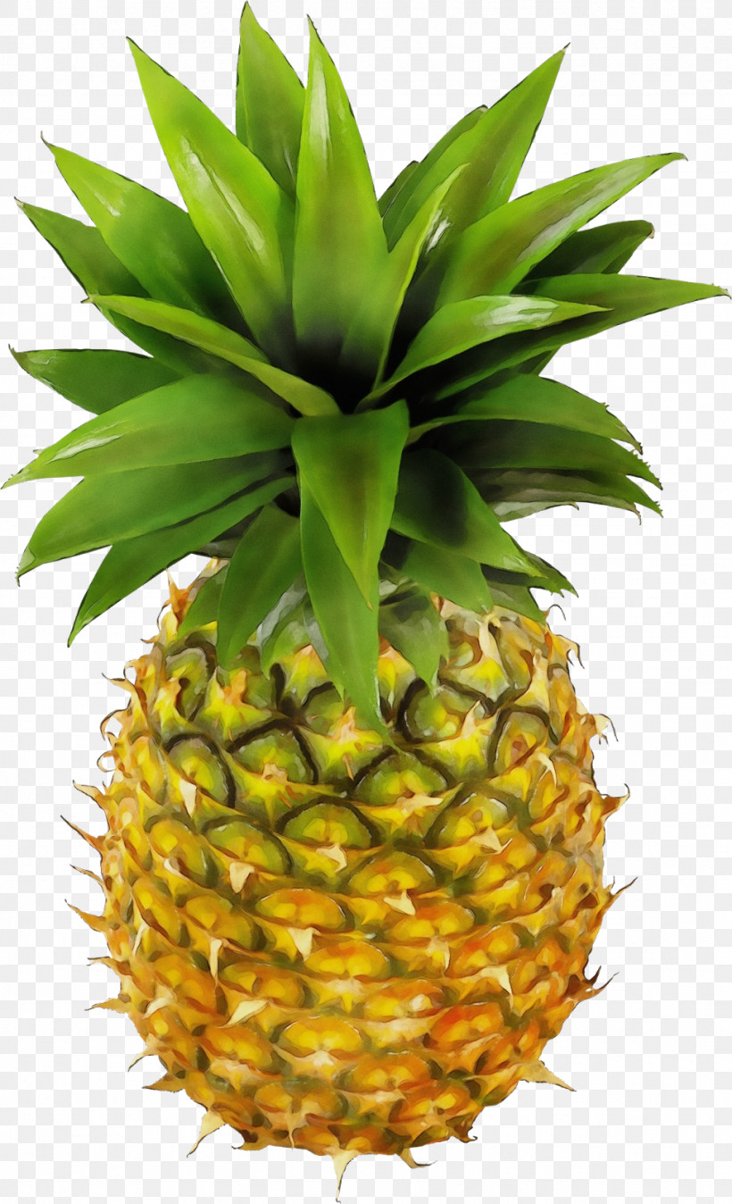 Pineapple, PNG, 973x1600px, Watercolor, Ananas, Food, Fruit, Natural Foods Download Free