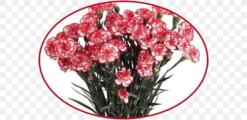 Dom Tsvetochnoy Mody Flower Bouquet Floral Design Garden Roses, PNG, 600x400px, Flower Bouquet, Artikel, Carnation, Cut Flowers, Dianthus Download Free