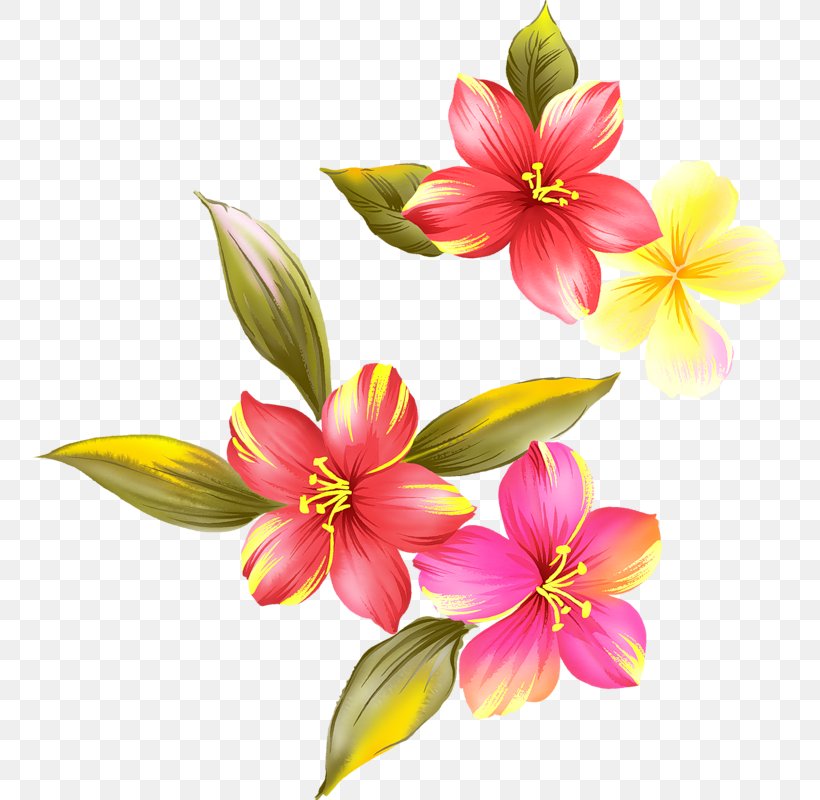 Flower Painting, PNG, 752x800px, Flower, Cut Flowers, Dahlia, Drawing, Flora Download Free