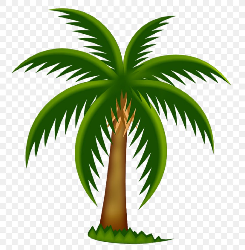 Arecaceae Date Palm Tree Clip Art, PNG, 768x838px, Arecaceae, Arecales, Borassus Flabellifer, Coconut, Date Palm Download Free