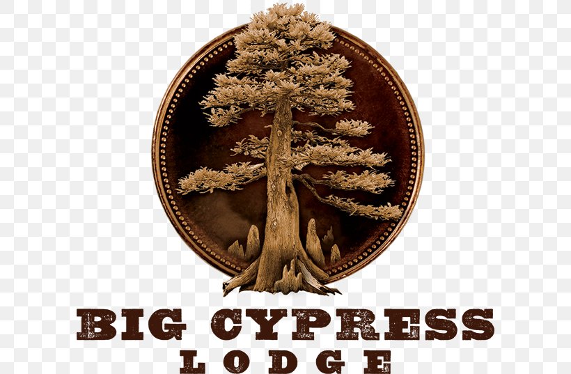 Big Cypress Lodge Accommodation Hotel Branson Bass Pro Drive, PNG, 600x537px, Accommodation, Bass Pro Drive, Bass Pro Shops, Branson, Hampton By Hilton Download Free