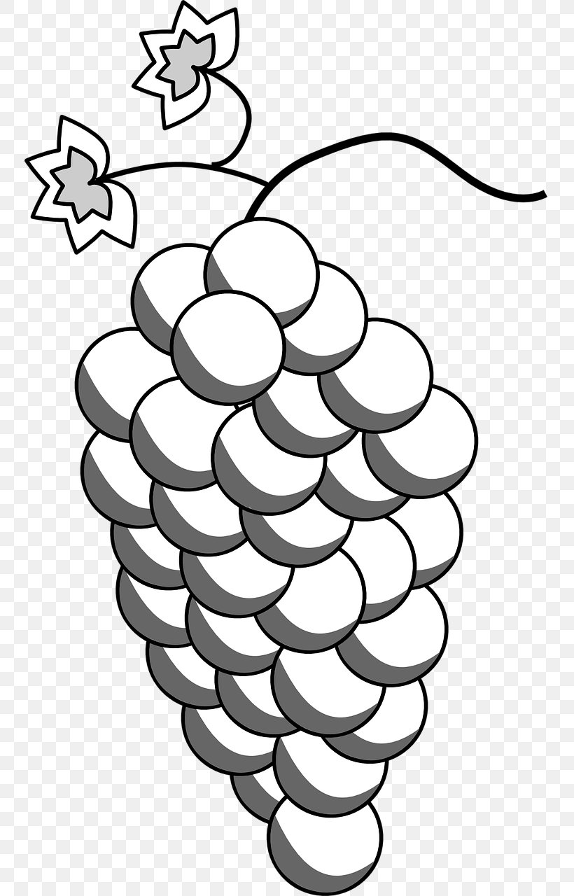 Grape Wine Drawing Clip Art, PNG, 750x1280px, Grape, Auglis, Black And White, Drawing, Flower Download Free