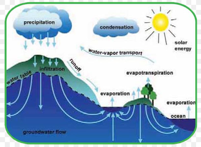 Water Cycle Worksheet Ocean Nitrogen Cycle, PNG, 800x600px, Water Cycle, Area, Chart, Diagram, Evapotranspiration Download Free