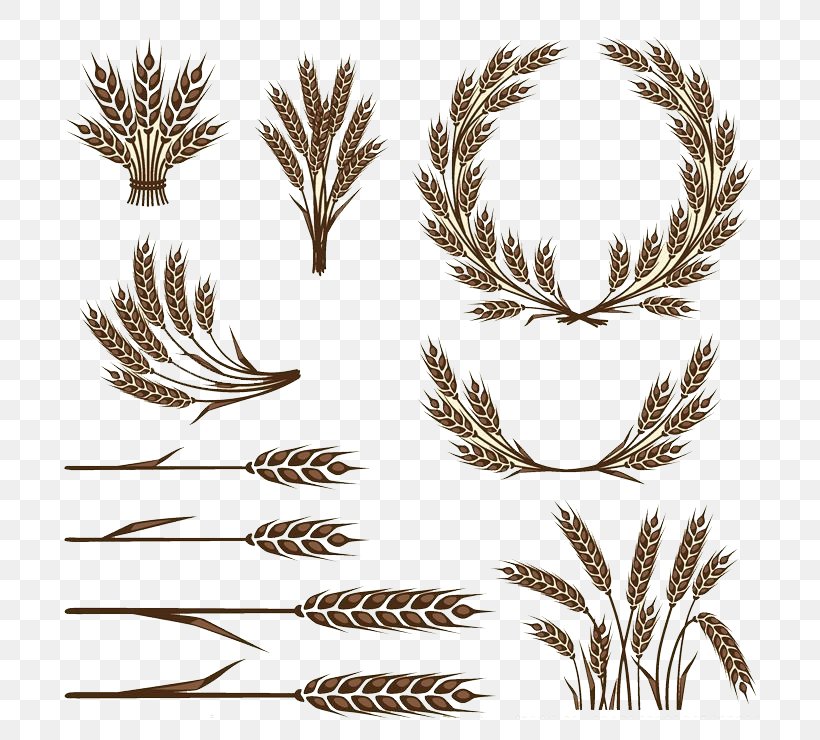 Wheat Icon, PNG, 740x740px, Wheat, Advertising, Branch, Bread, Caryopsis Download Free