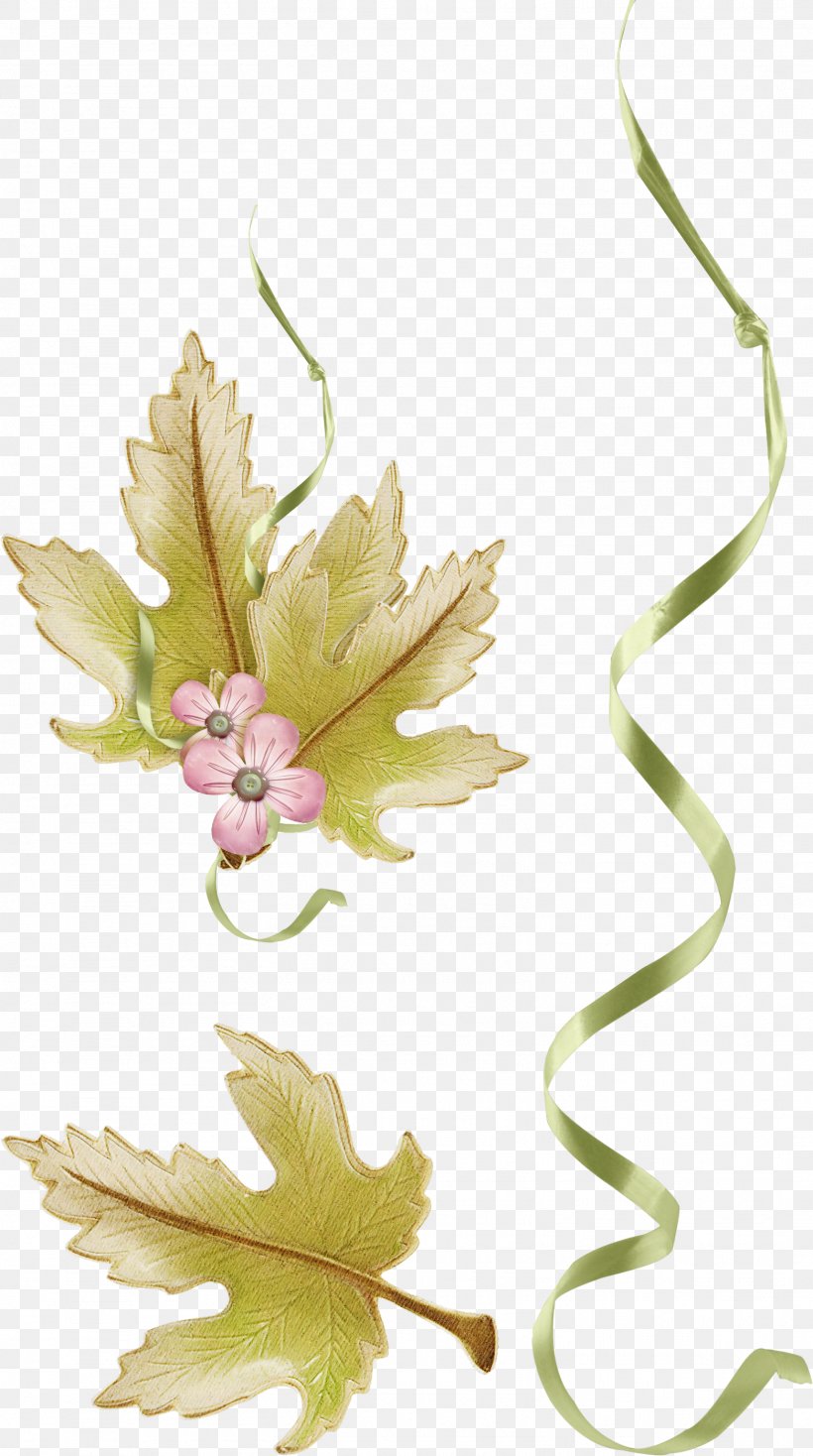 Floral Design Leaf Flower Clip Art, PNG, 1563x2799px, Floral Design, Art, Branch, Flora, Flower Download Free