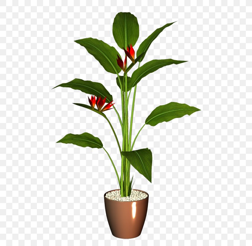 Flowerpot Houseplant, PNG, 522x800px, Flowerpot, Flower, Flowering Plant, Glass, Houseplant Download Free