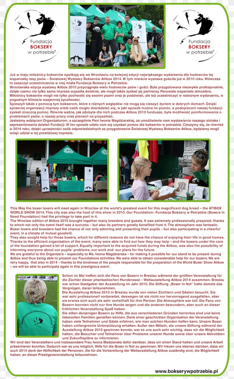 Green Brochure Font, PNG, 899x1456px, Green, Brochure, Media, Text Download Free