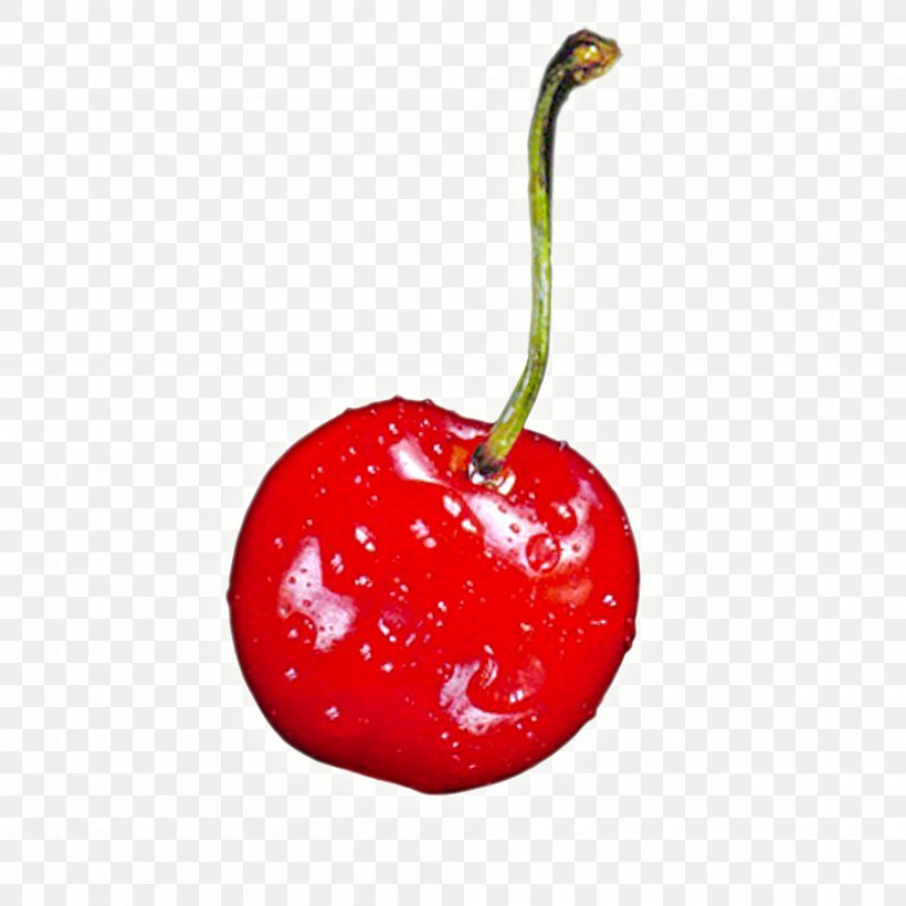 Barbados Cherry Cherry Pie Clip Art, PNG, 2000x2000px, Barbados Cherry, Acerola, Acerola Family, Apple, Cherry Download Free