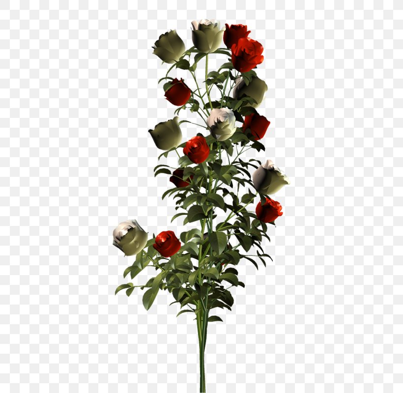 Garden Roses Cut Flowers Floral Design Flower Bouquet, PNG, 437x800px, Garden Roses, Artificial Flower, Cut Flowers, Floral Design, Flower Download Free