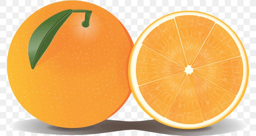 Grapefruit Orange Lemon Clip Art, PNG, 776x437px, Grapefruit, Art, Citric Acid, Citrus, Clementine Download Free