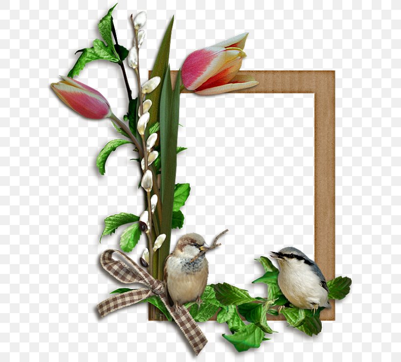 Picture Frames Bird Easter, PNG, 630x740px, Picture Frames, Bird, Bird Supply, Branch, Cut Flowers Download Free