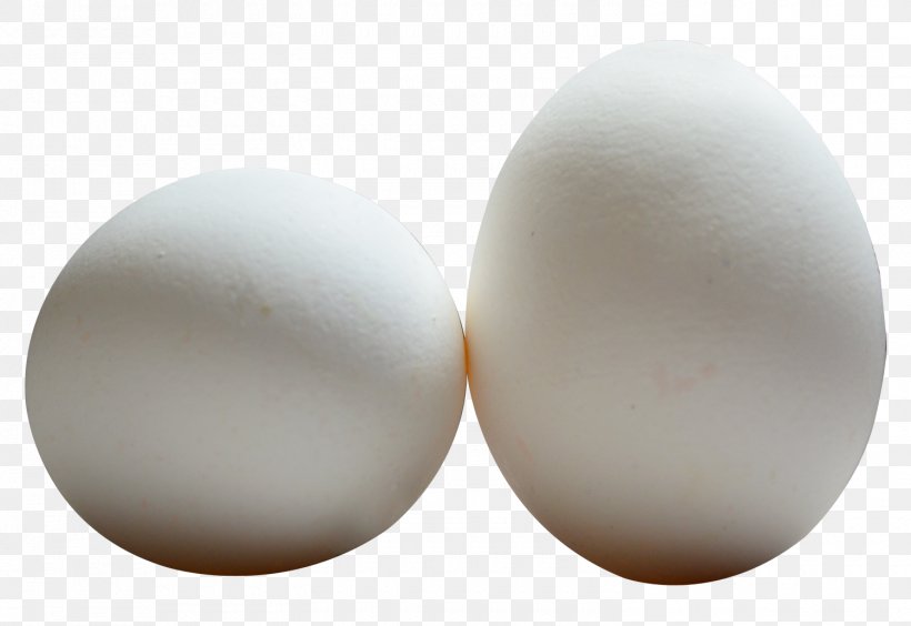 Egg, PNG, 1500x1033px, Egg Download Free