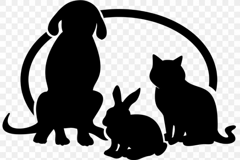 Kitten Black Cat Dog Animal Kingdom Veterinary Hospital, PNG, 880x588px, Kitten, Black, Black And White, Black Cat, Carnivoran Download Free