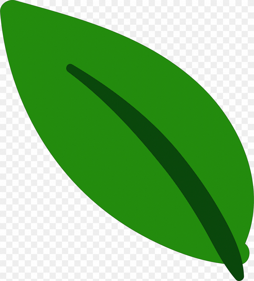 Leaf, PNG, 2559x2833px, Leaf, Angle, Biology, Green, Line Download Free