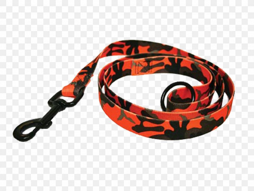 Leash Product, PNG, 2048x1536px, Leash, Fashion Accessory, Rope Download Free