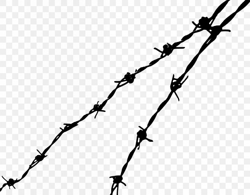 Barbed Wire Clip Art, PNG, 2400x1875px, Barbed Wire, Barbed Tape, Black And White, Branch, Drawing Download Free