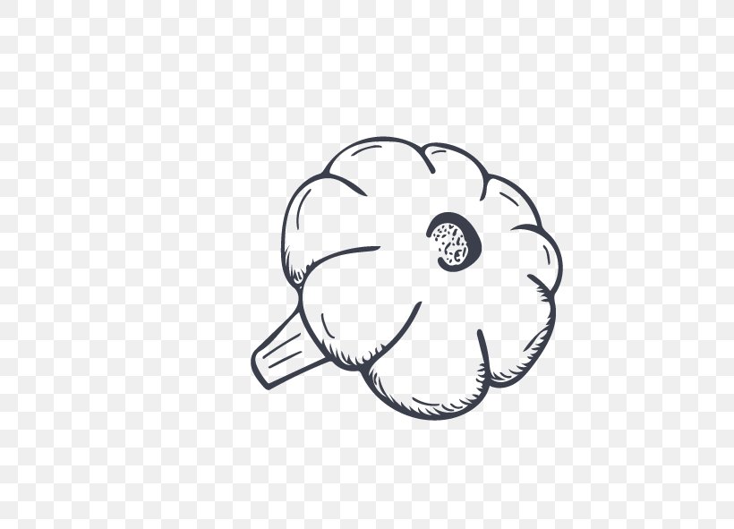 Cauliflower, PNG, 591x591px, Cauliflower, Black And White, Brand, Garlic, Logo Download Free
