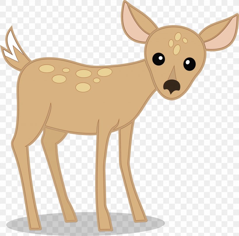 Deer Fawn Roe Deer Wildlife Tail, PNG, 3000x2970px, Watercolor, Deer, Fawn, Paint, Roe Deer Download Free