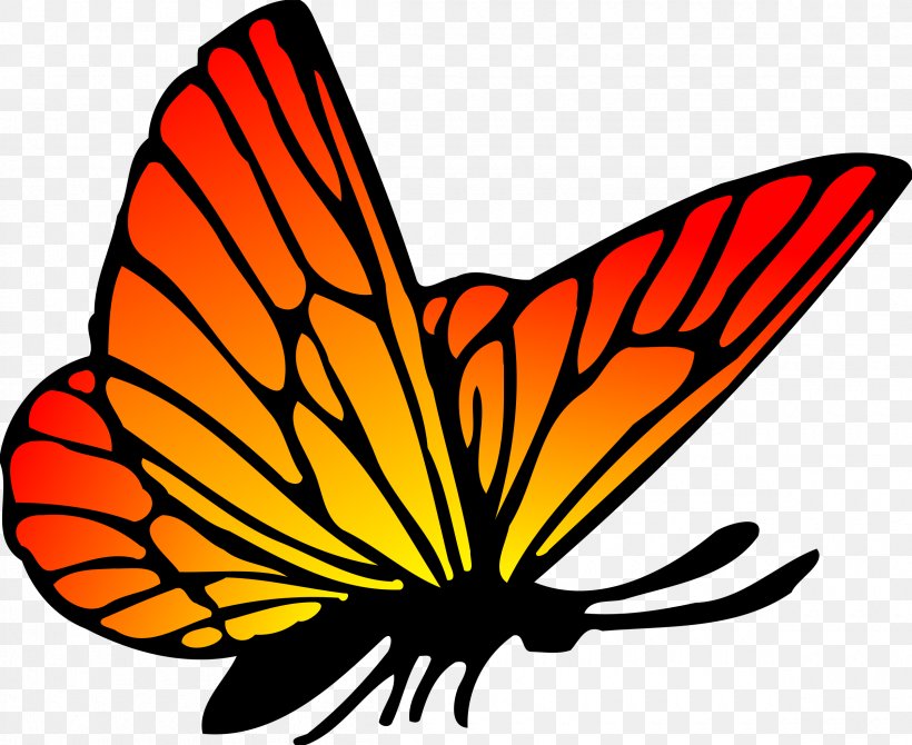 Butterfly Drawing Clip Art, PNG, 2400x1962px, Butterfly, Artwork, Brush Footed Butterfly, Color, Drawing Download Free