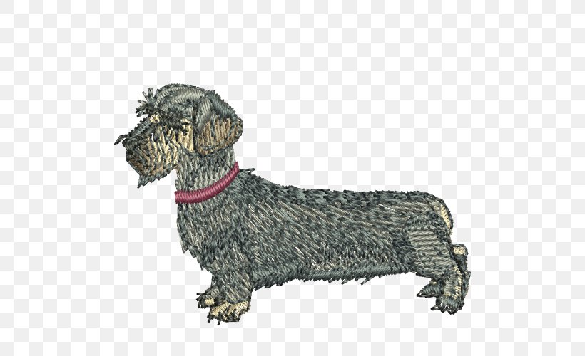Cesky Terrier Dachshund Dog Breed Razas Nativas Vulnerables, PNG, 500x500px, Cesky Terrier, Breed, Carnivoran, Dachshund, Dog Download Free
