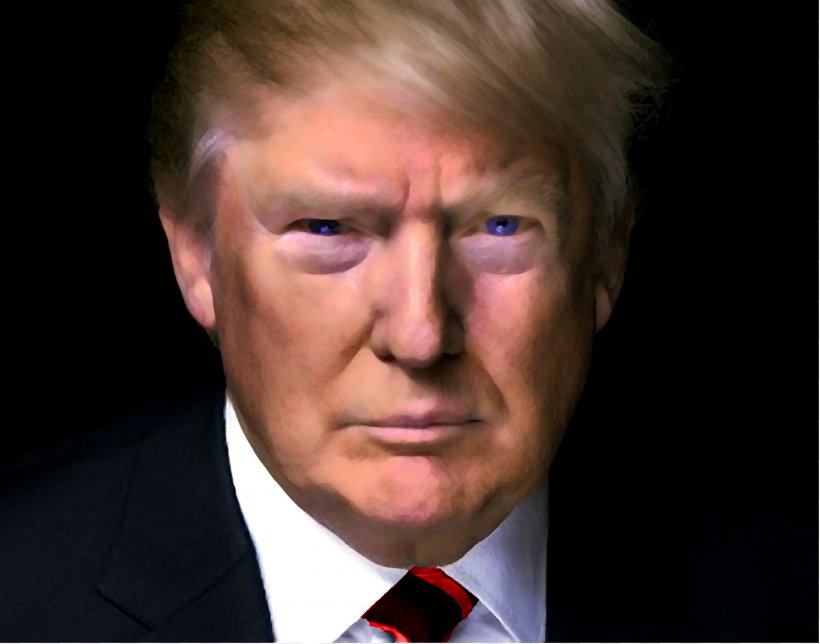 Donald Trump White House President Of The United States Democratic Party Electoral College, PNG, 4200x3300px, Donald Trump, Bill Clinton, Cheek, Chin, Democratic Party Download Free