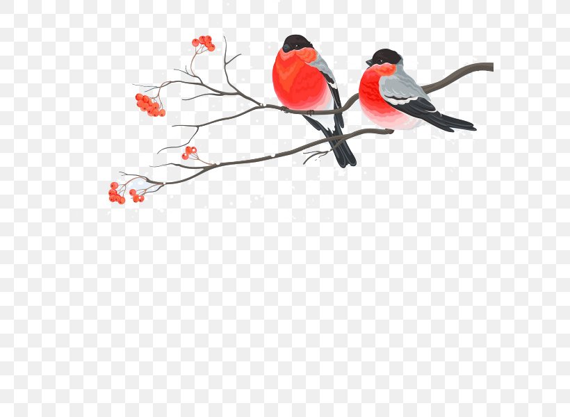 Painting Birds, PNG, 600x600px, Bird, Beak, Branch, Cardinal, Cartoon Download Free