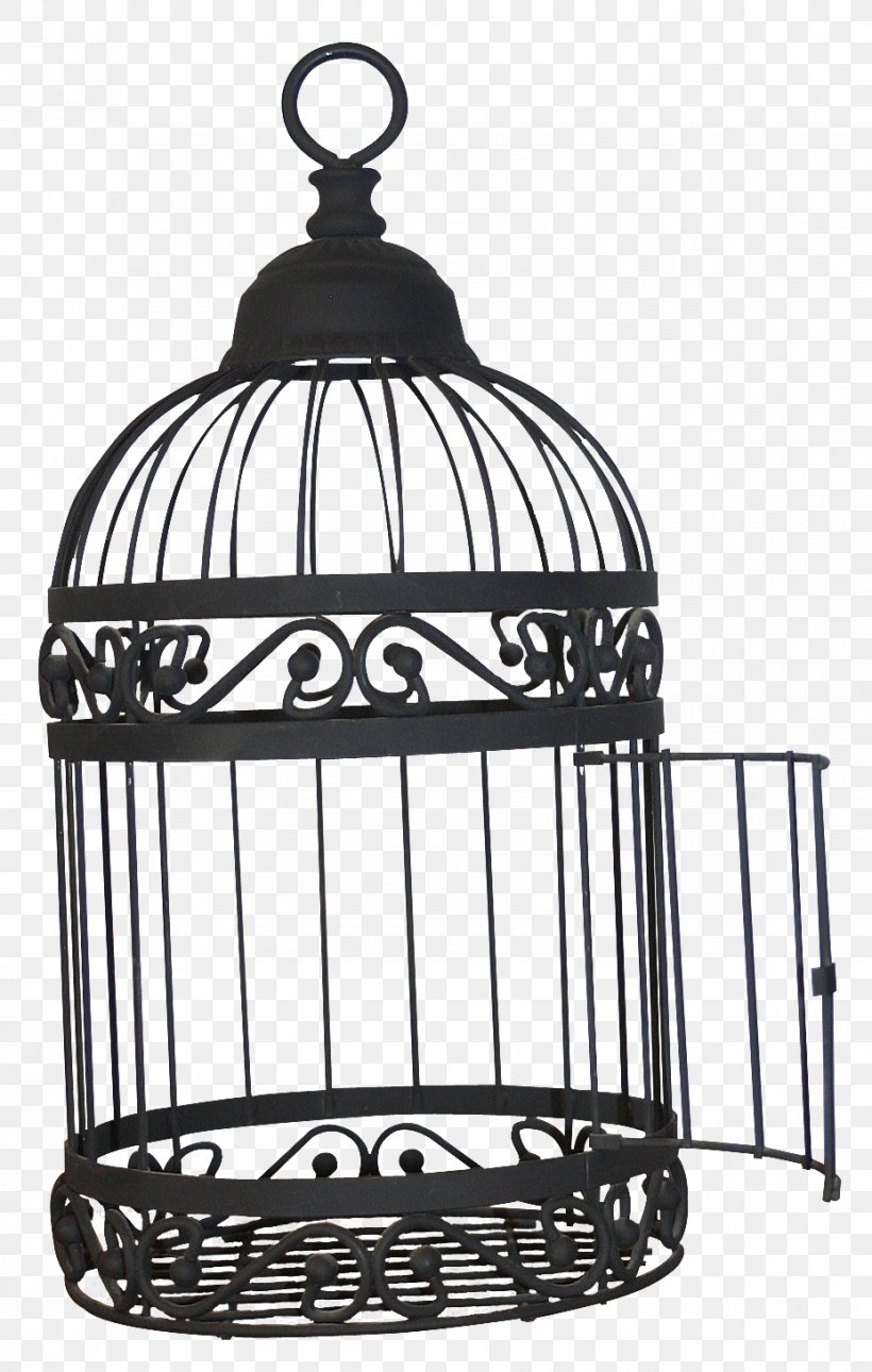 Birdcage Domestic Canary, PNG, 928x1460px, Bird, Animation, Birdcage, Black And White, Cage Download Free