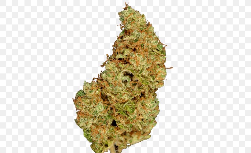 Cannabis 'Blueberry' Skunk Marijuana Seed, PNG, 500x500px, Cannabis, Cannabidiol, Cultivar, Dominance, Genetics Download Free