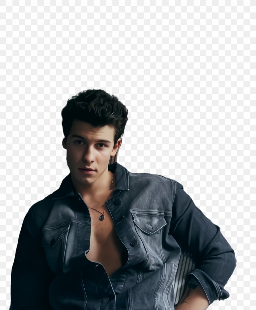 Hair Cartoon, PNG, 1816x2200px, Shawn Mendes, Black Hair, Cool, Denim, Forehead Download Free