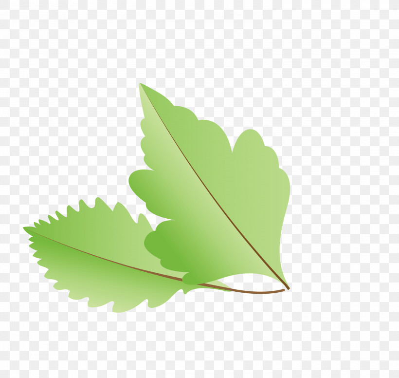 Leaf Green M-tree Meter Tree, PNG, 3000x2841px, Autumn Leaf, Biology, Cartoon Leaf, Fall Leaf, Green Download Free