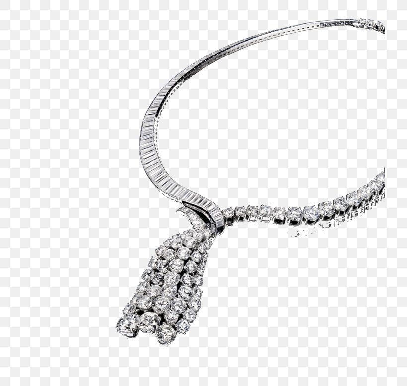 Necklace Jewellery Harry Winston, Inc. Diamond Charms & Pendants, PNG, 730x779px, Necklace, Bling Bling, Blingbling, Body Jewellery, Body Jewelry Download Free