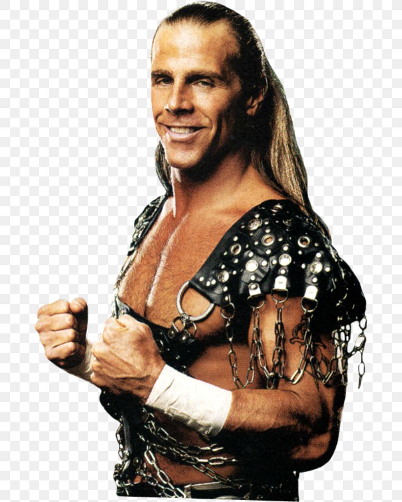 Shawn Michaels Professional Wrestling Clip Art, PNG, 681x1024px, Watercolor, Cartoon, Flower, Frame, Heart Download Free