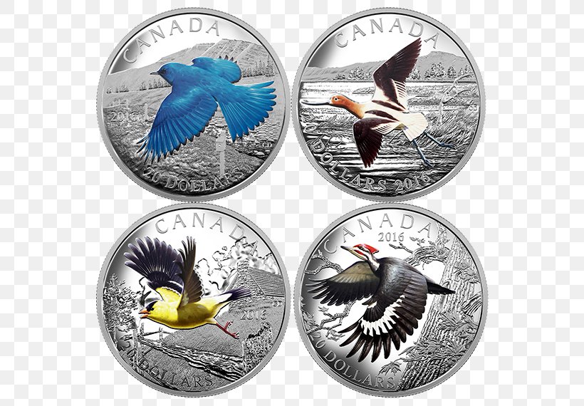 Coin Bird Migration Canada Silver, PNG, 570x570px, Coin, American Avocet, Animal Migration, Avocet, Beak Download Free