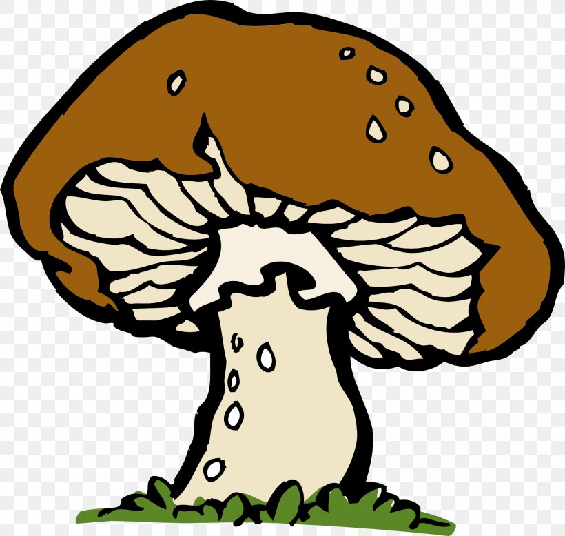 Mushroom Morchella Free Content Clip Art, PNG, 1920x1823px, Mushroom, Art, Artwork, Blog, Copyright Download Free