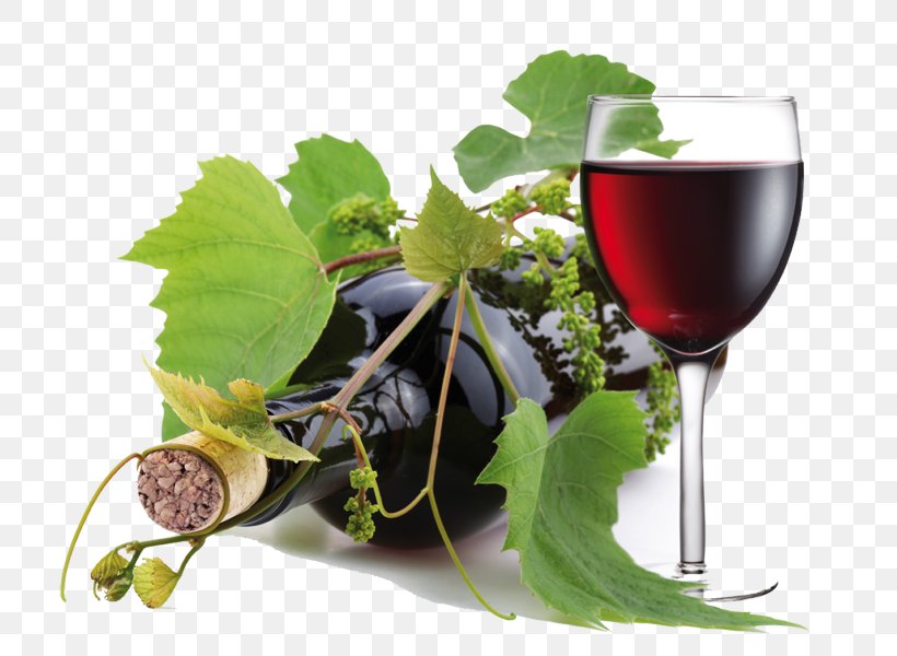 Red Wine Riesling White Wine Amarone, PNG, 770x600px, Wine, Amarone, Barrel, Bottle, Common Grape Vine Download Free