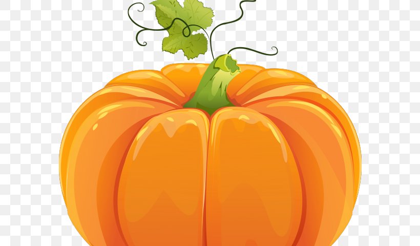 Field Pumpkin Vector Graphics Clip Art, PNG, 640x480px, Field Pumpkin, Bell Pepper, Bell Peppers And Chili Peppers, Calabaza, Cucurbita Download Free