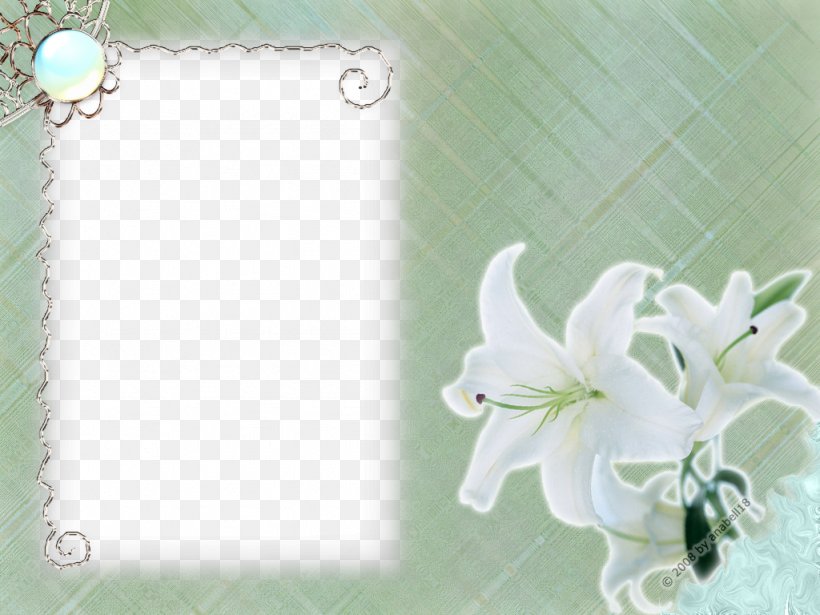 Flower, PNG, 1024x768px, Flower, Digital Photo Frame, Flower Bouquet, Paper, Photography Download Free