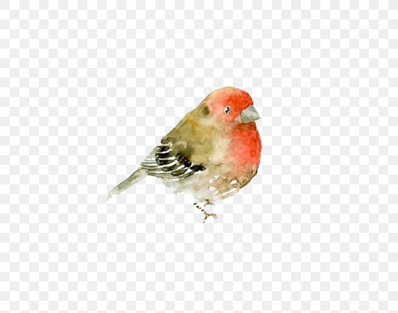 Italy Watercolor Painting Animal, PNG, 999x786px, Italy, Animal, Artist, Beak, Bird Download Free