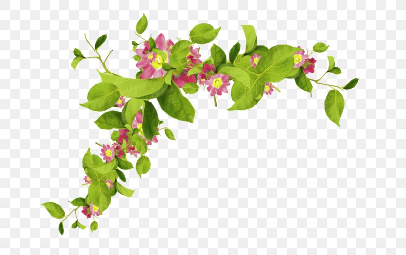 Lossless Compression Clip Art, PNG, 699x515px, Lossless Compression, Blossom, Branch, Color Depth, Data Download Free