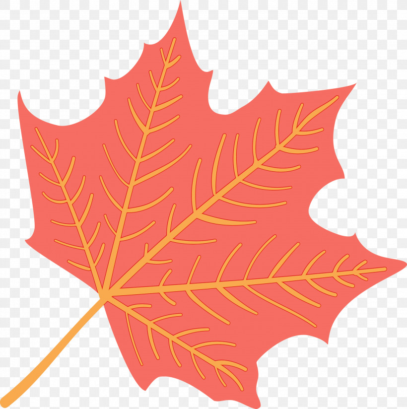 Maple Leaf, PNG, 2984x3000px, Autumn Leaf, Biology, Colorful Leaf, Colorful Leaves, Colourful Foliage Download Free