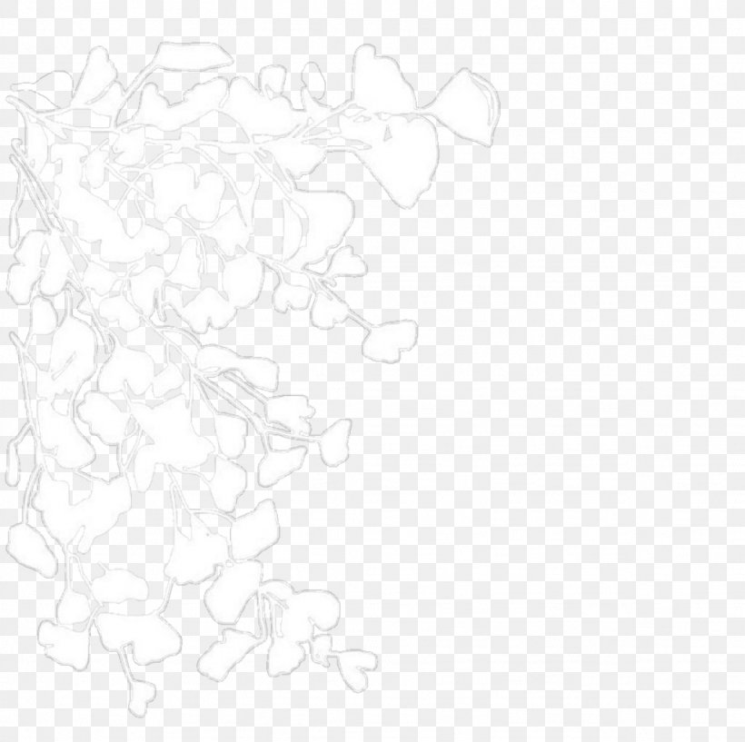 White Line Art, PNG, 1024x1021px, White, Area, Black, Black And White, Drawing Download Free