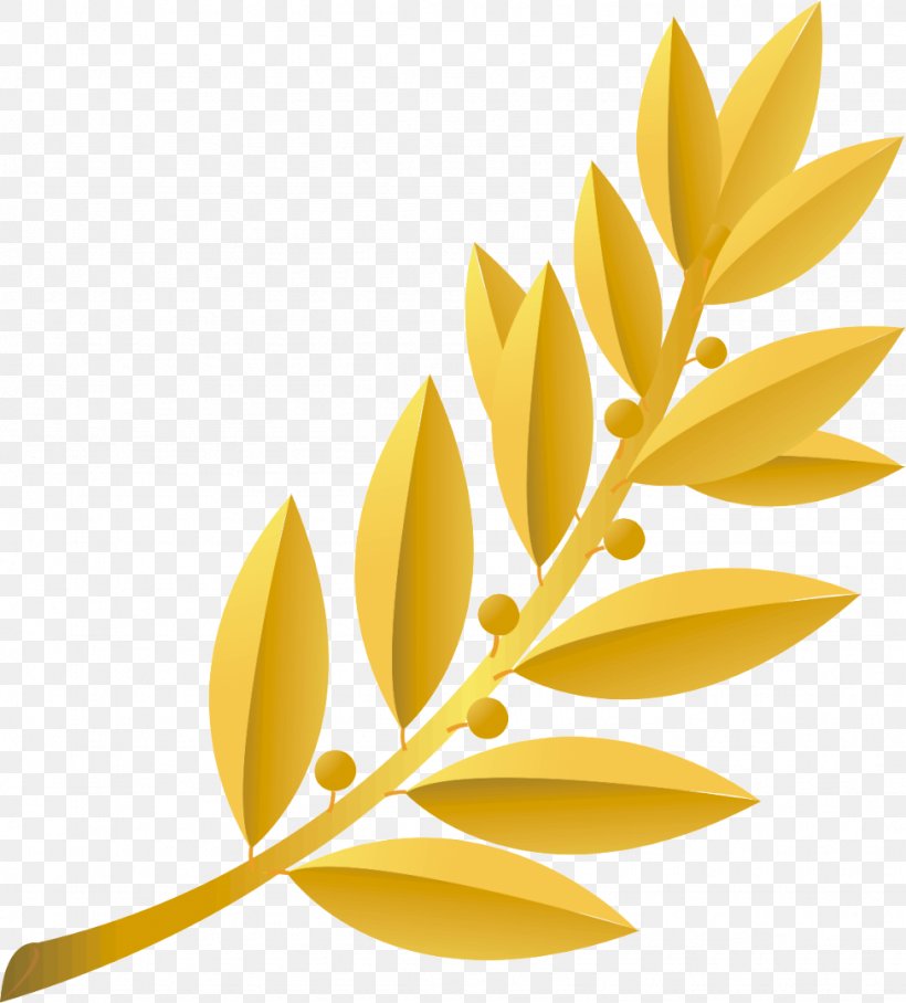 Plant Stem Branch Yellow, PNG, 975x1080px, 2016, Information, Branch, Commodity, Digital Image Download Free