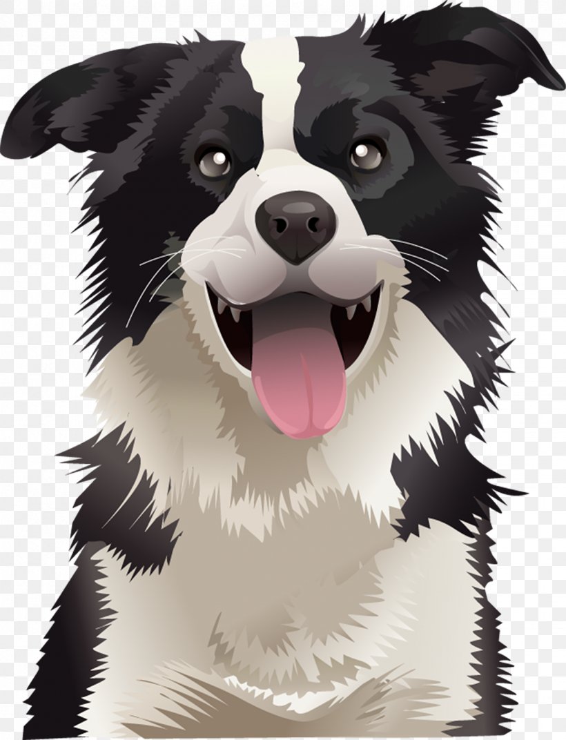 Border Collie Australian Shepherd German Shepherd Australian Kelpie English Shepherd, PNG, 1176x1538px, Border Collie, Australian Collie, Australian Kelpie, Australian Shepherd, Canidae Download Free