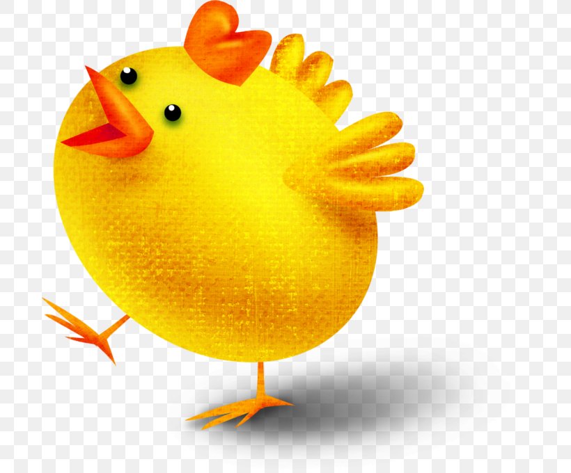 Chicken Kifaranga Easter Clip Art, PNG, 700x680px, Chicken, Beak, Bird, Chicken Coop, Chicken Egg Download Free