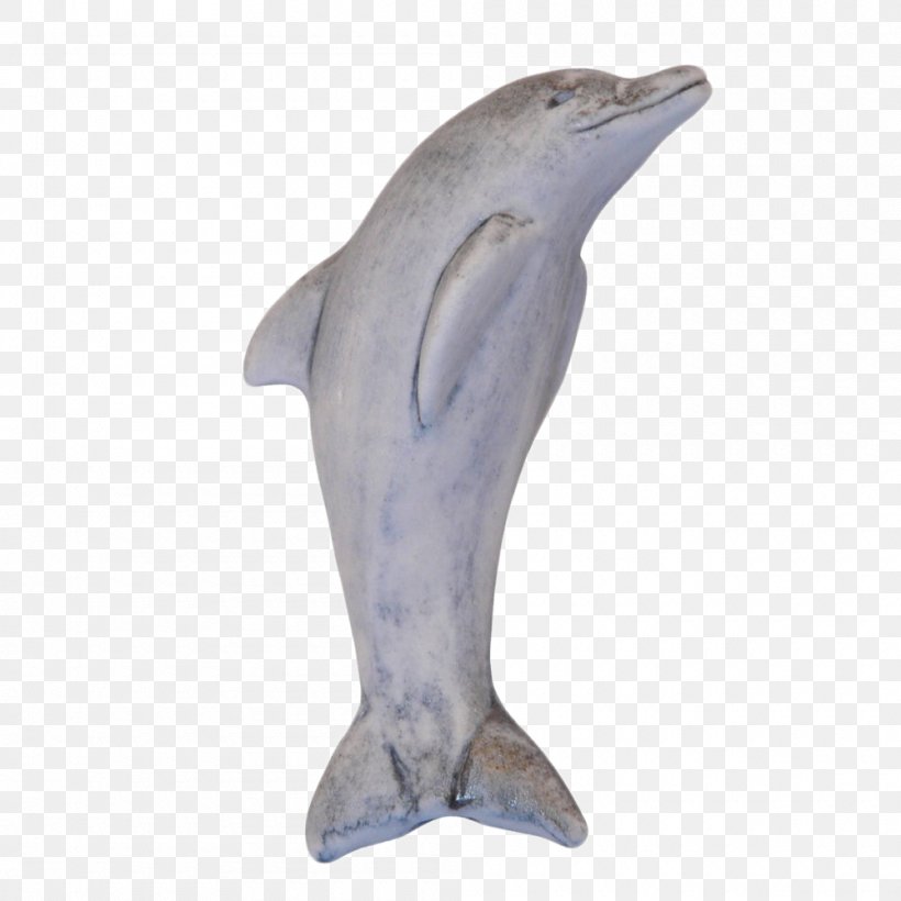 Common Bottlenose Dolphin Tucuxi Short-beaked Common Dolphin, PNG, 1000x1000px, Common Bottlenose Dolphin, Beak, Bottlenose Dolphin, Dolphin, Fauna Download Free