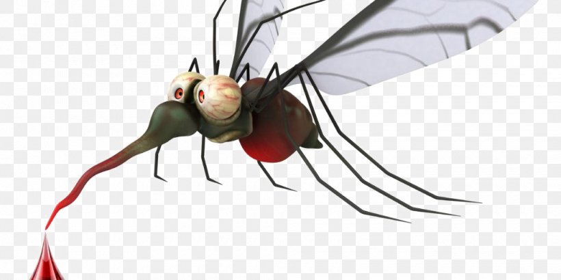 Mosquito-borne Disease Zika Virus Zika Fever, PNG, 1040x520px, Mosquito, Arthropod, Dengue, Disease, Fly Download Free